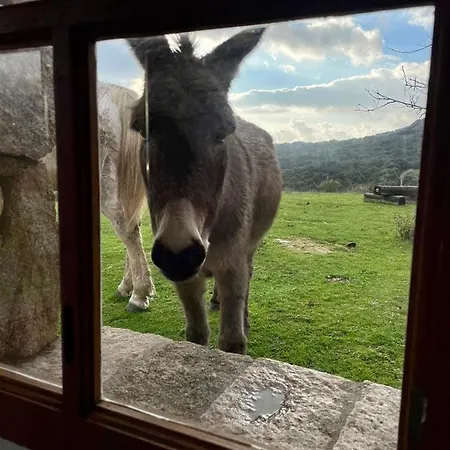 Bergerie Paradisu, Domaine De L Ogliastru Σπίτι διακοπών