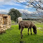 Bergerie Paradisu, Domaine De L Ogliastru