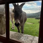 Bergerie Paradisu, Domaine De L Ogliastru Casa vacanze