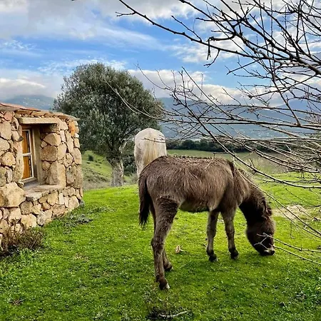 Bergerie Paradisu, Domaine De L Ogliastru