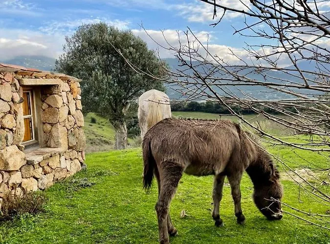 Bergerie Paradisu, Domaine De L Ogliastru