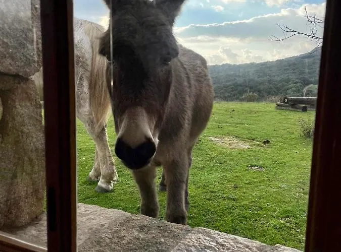 Bergerie Paradisu, Domaine De L Ogliastru Casa vacanze